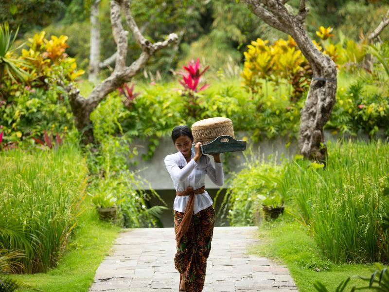 Adiwana Suweta Ubud (Bali)
